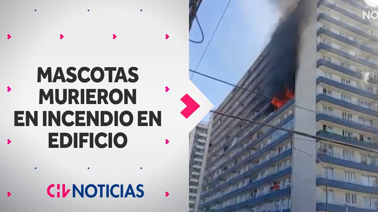 Incendio consumi&oacute; dos pisos de edificio en Quinta Normal: Mascotas fallecieron en el lugar
