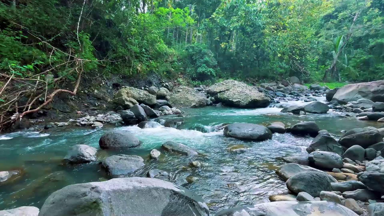Gentle River Sounds for Sleeping, River Sounds for relaxation, Water Sounds for stress relief