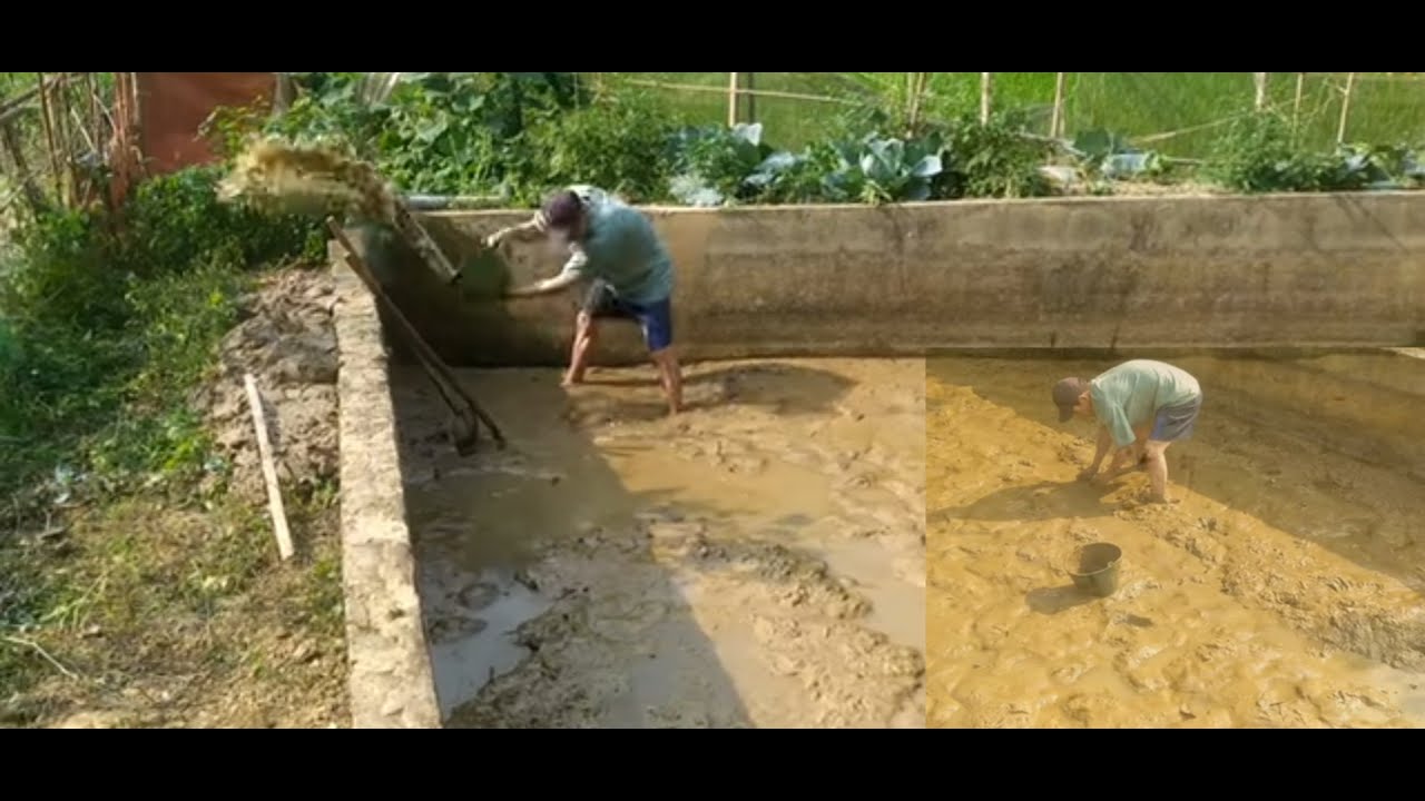 Daily life ] 1 day cleaning the pond to catch eels, renovating the farm to start a new career
