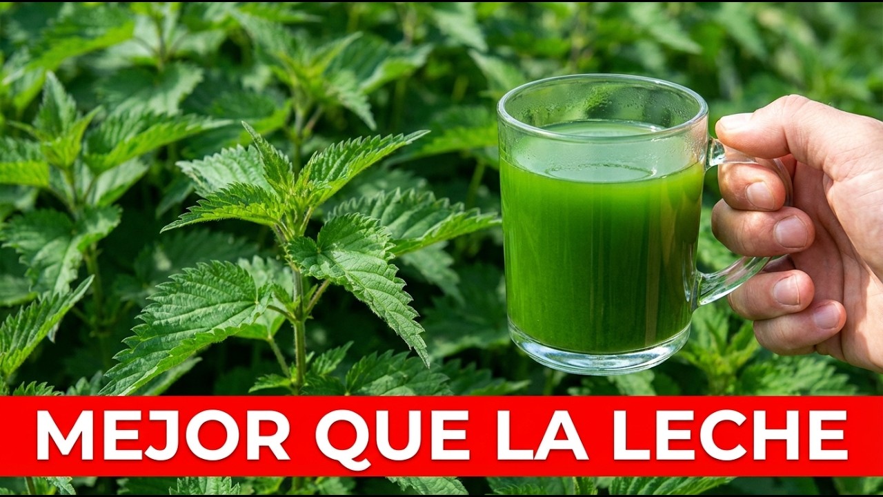 300% Más Calcio Que la Leche. Crece Como Maleza. ¿Por Qué Lo Olvidamos?
