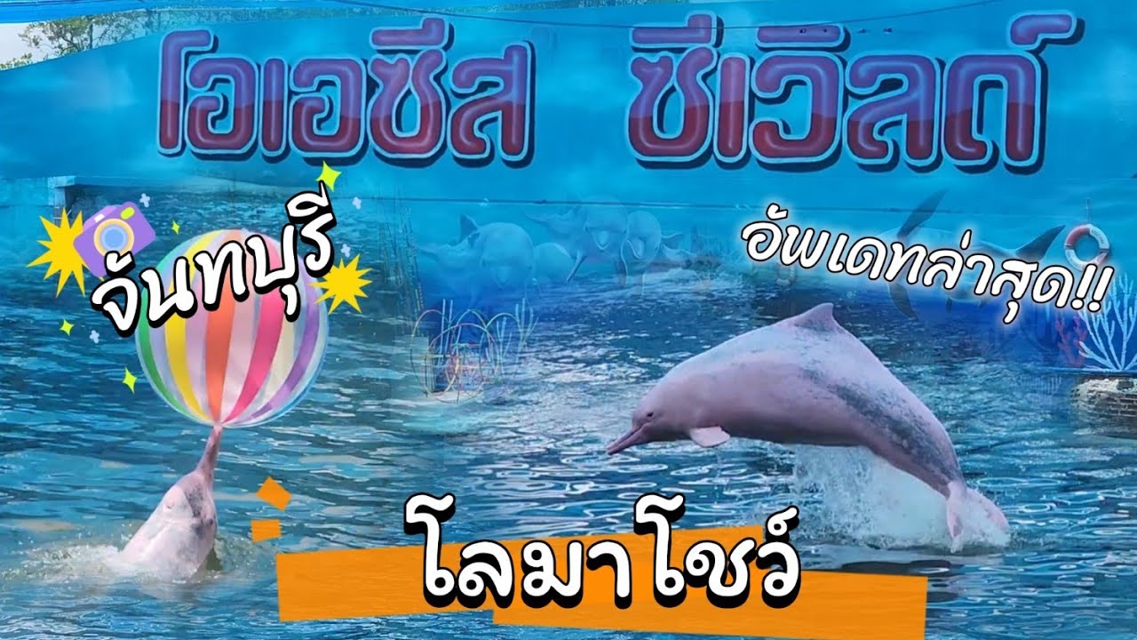 โชว์โลมา​ จันทบุรี​ อัพเดทล่าสุด!  โอเอซิส​ ซีเวิลด์​ ​ โลมาสีชมพู​ Oasis​ Sea​ World​ Dolphin Show