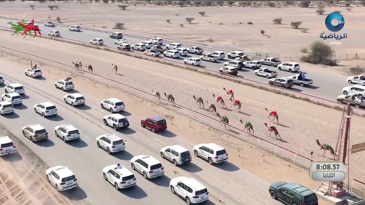 الشوط…1 *خنجر الذهبية+سيارة*(*أمجاد*) ل الهجانه السلطانيةالمضمر: حمد سالم حمد الجديلي12:55:00