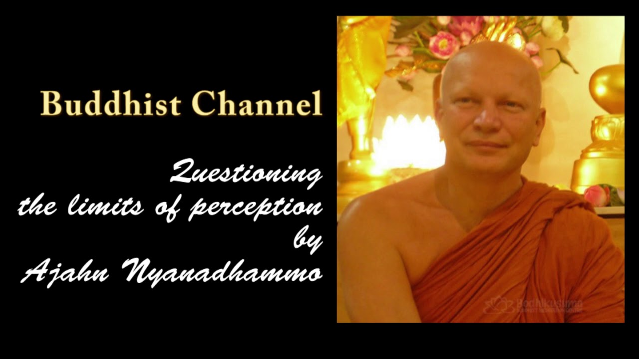 Questioning the limits of perception (audio) - Ajahn Nyanadhammo #englishdhammatalk #buddhism