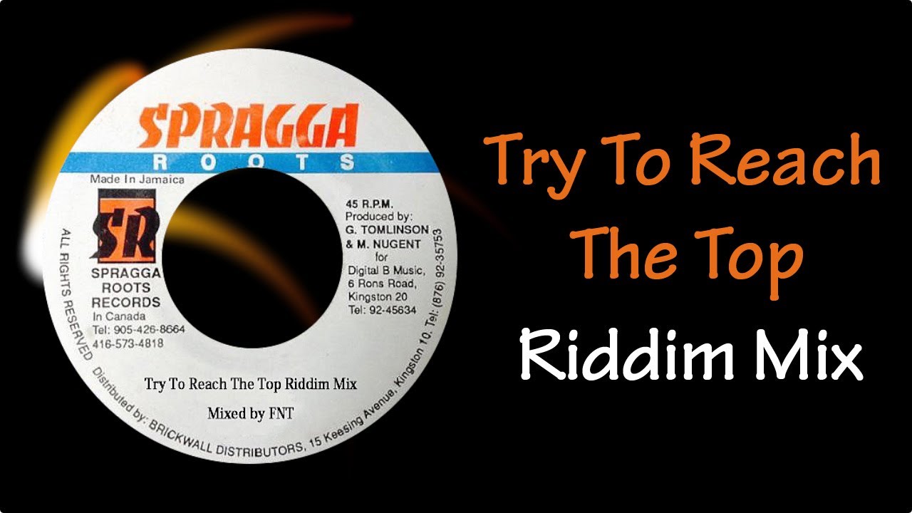 Try To Reach The Top Riddim Mix (2007)