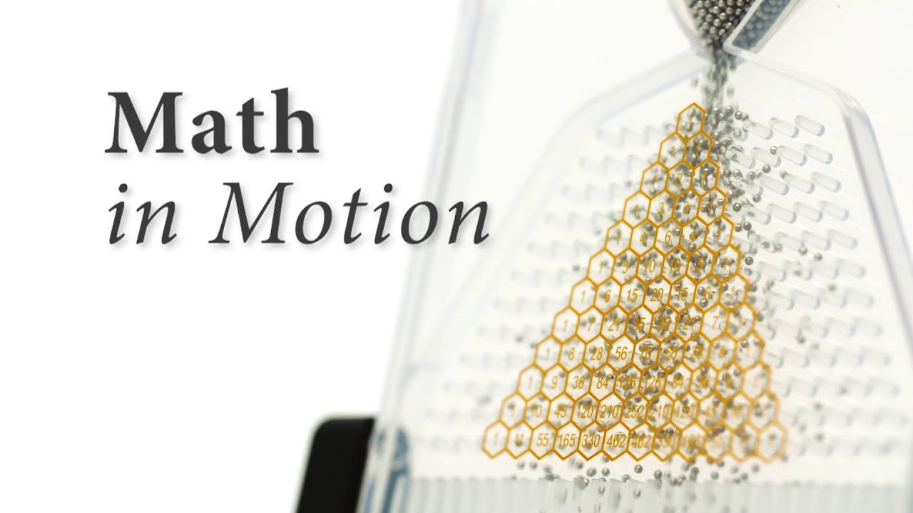 The Galton Board: Math In Motion