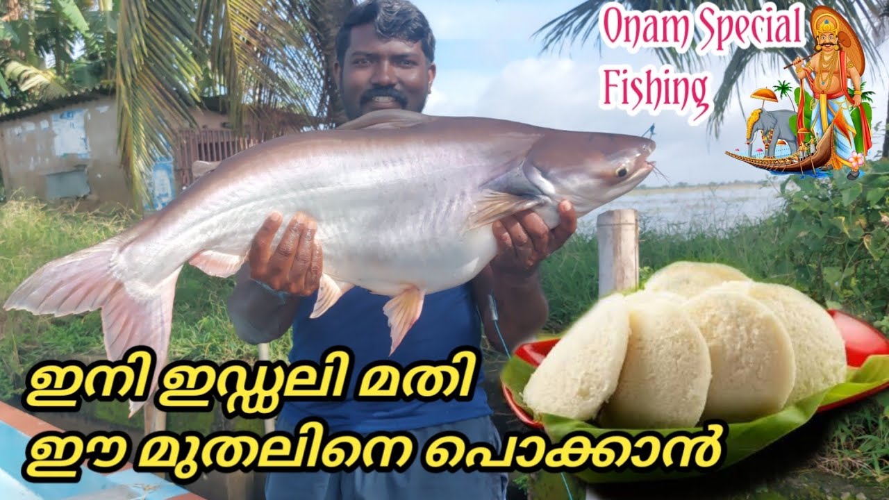 ഇഡ്ഡലി ഉണ്ടെങ്കിൽ ഈ കൊമ്പനെ എളുപ്പം പിടിക്കാം|Onam സ്പെഷ്യൽ fishing|Earth Lovers Media|