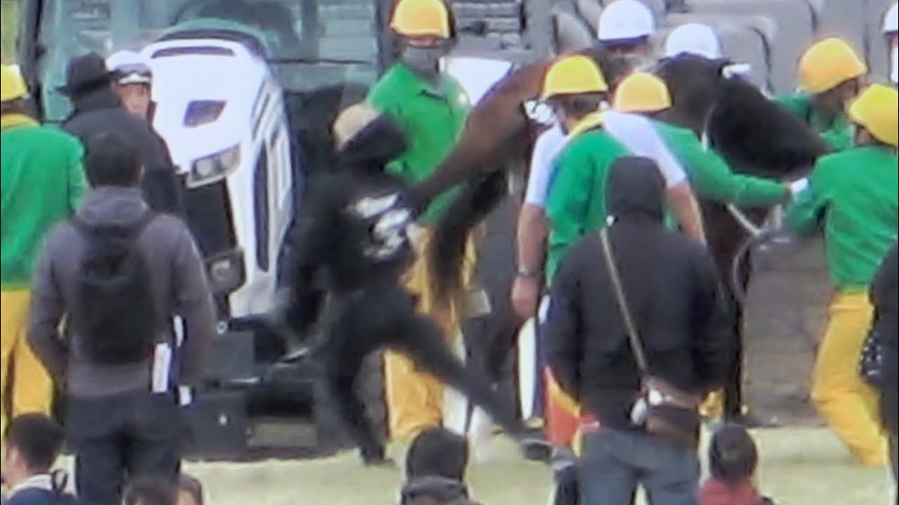 【ハプニング】装蹄師も大変‼ ①ヘラルドバローズ 蹄鉄付けられずに走る 現地映像