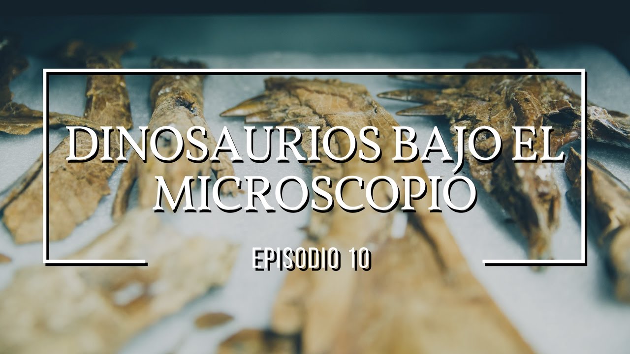 Dinosaurios bajo el microscopio: Dinosaurios #10