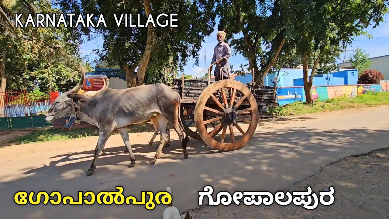 Gopalpura | real Karnataka village life | നല്ല ജനങ്ങളേയും  നല്ലൊരു ഗ്രാമവും കാണാൻ സാധിച്ചു|rahim