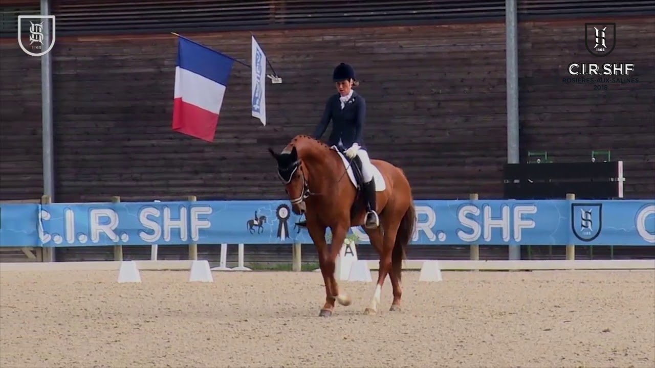 CIR SHF 2018 - Dressage Rosières 4 ans - DEEP LOVE DB et Julia Eon Leborgne