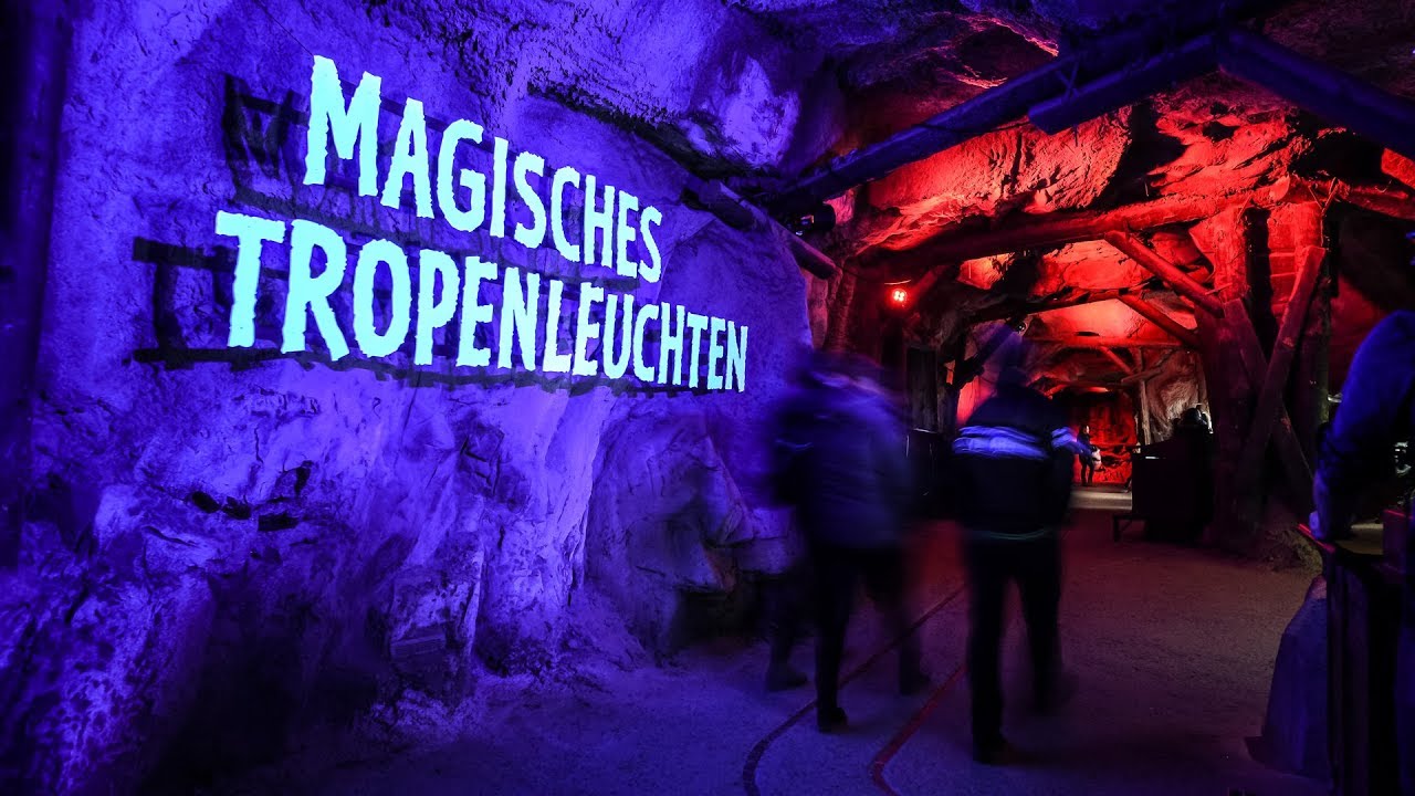 Magisches Tropenleuchten im Zoo Leipzig 2019