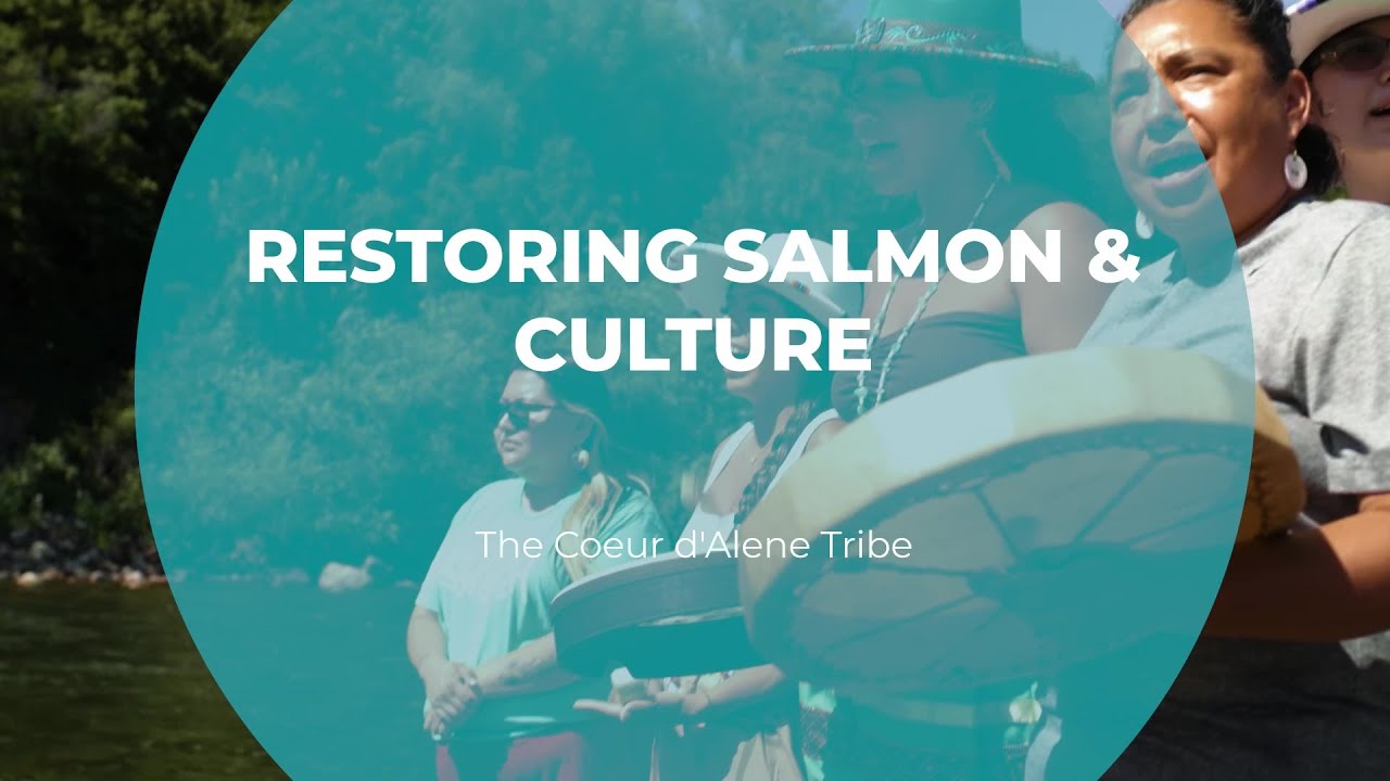 Restoring Salmon and Culture | The Coeur d'Alene Tribe | Tomorrow's Catch