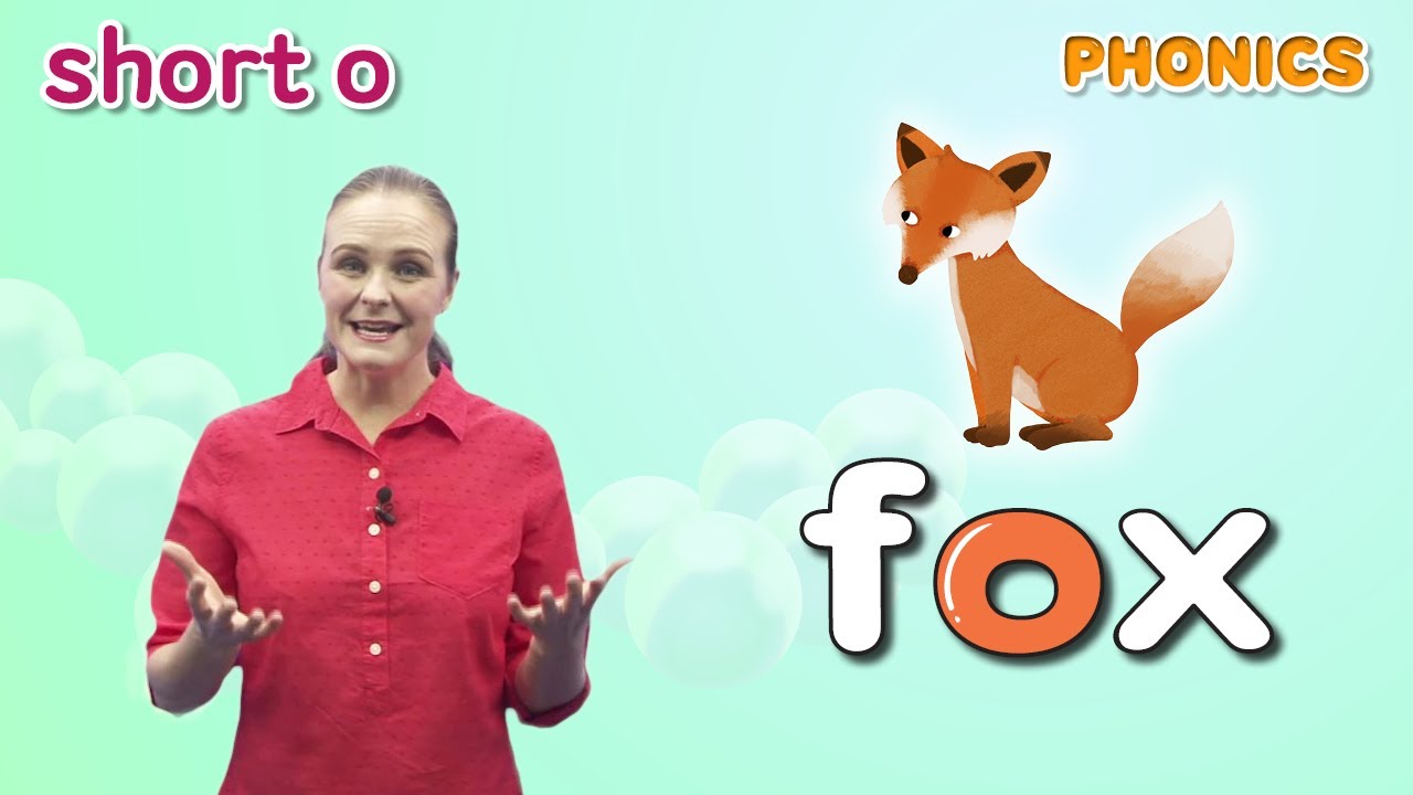 Short Vowels | Lesson 11 Short Vowel o (ot, ox) | 4 Step Phonics