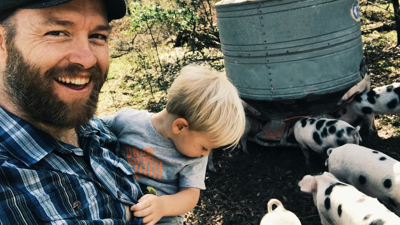 Moving Hungry PIGS To NEW Forest