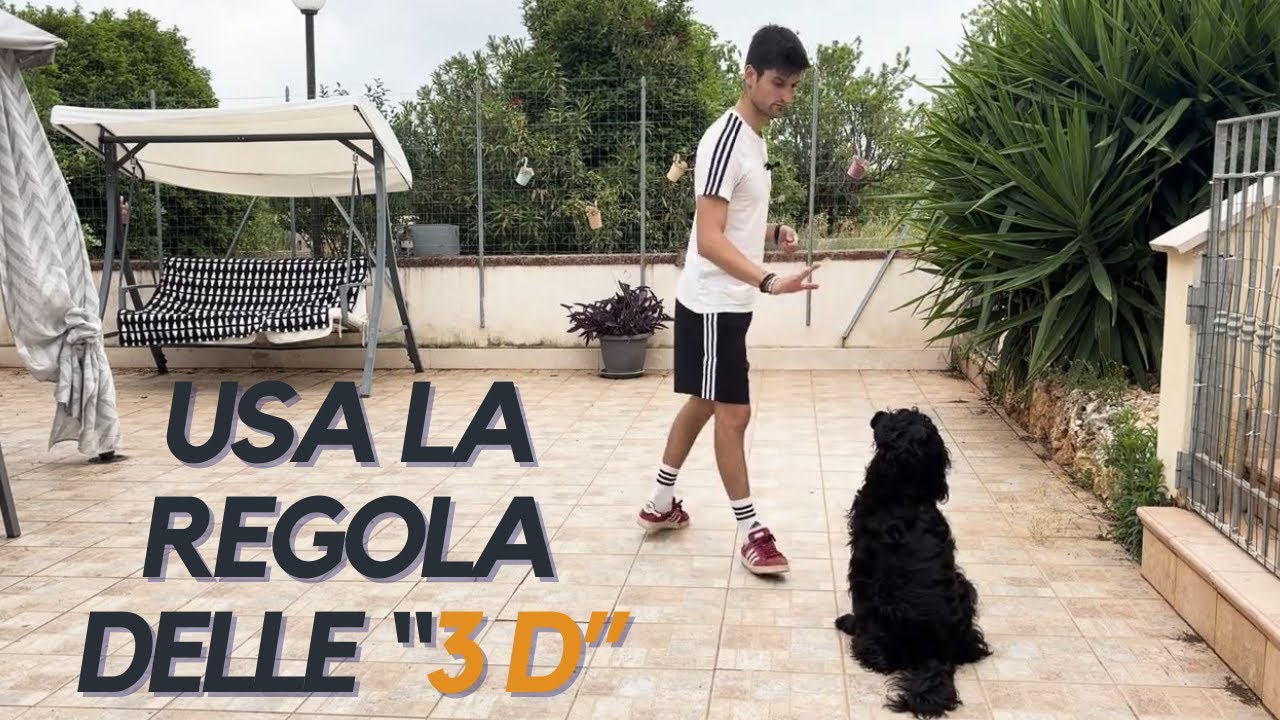 Come e perché insegnare il 