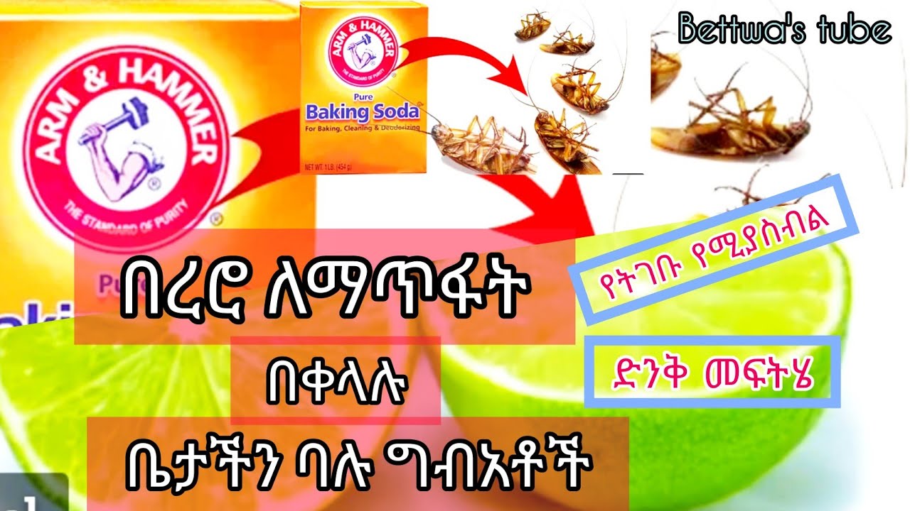 📌በረሮ አማሮታል❗️ከኬሚካል ነፃ የሆነ በቤታችን በቀላሉ እናጥፋቸው❗️Ethiopian food❗️amazing  cockroach killer