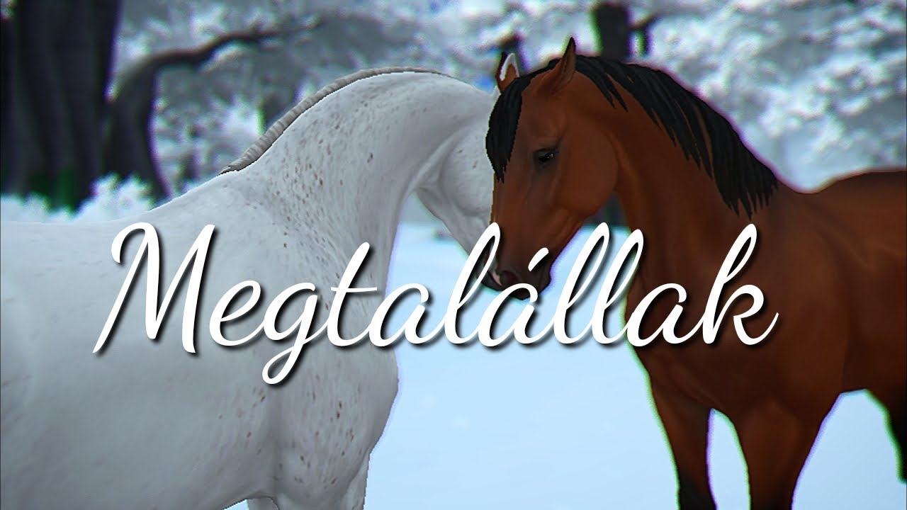 Megtalállak 1. rész SSO kisfilm ( leírás)