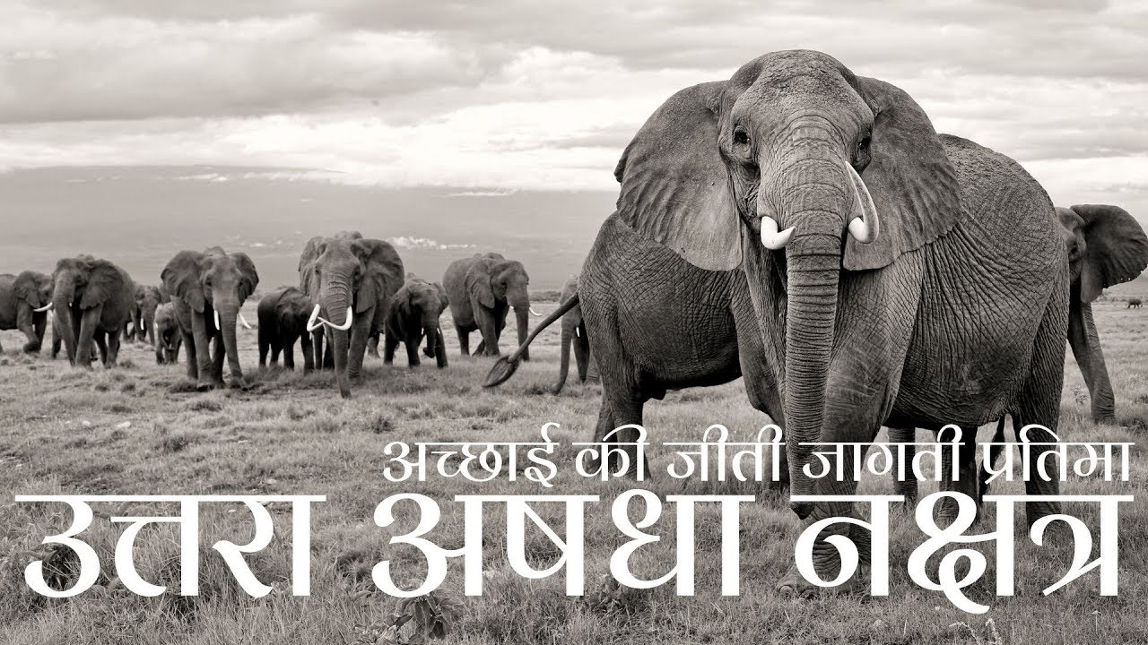 नक्षत्र - उत्तरा अषधा नक्षत्र (Part 2/3) - व्यक्तित्व विवरण/ शुभ और अशुभ गतिविधियां/ जुड़े व्यवसाय