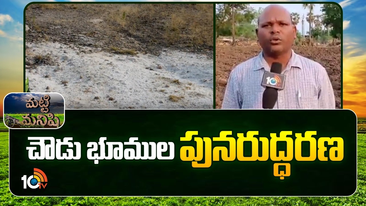 Reclaiming Saline Soils | చౌడు భూముల పునరుద్ధరణ | Matti Manishi | 10TV News