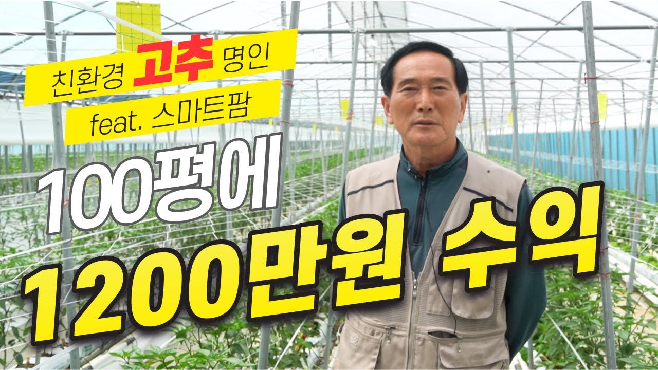 스마트팜 친환경 고추 명인 고추재배 노하우 및 수익 공개!! 홍고추 최초 스마트팜 재배자, 농업기술 명인!!
