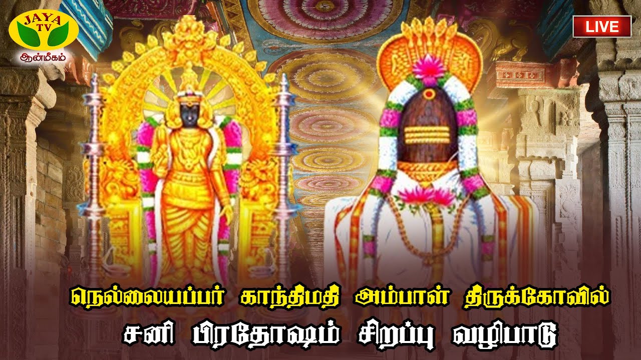 🔴Live : நெல்லையப்பர் காந்திமதி அம்பாள் திருக்கோவில் | சனி மகா பிரதோஷம் | Nellai | Jaya Tv Aanmeegam