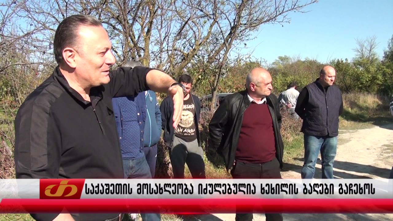 საქაშეთის მოსახლეობა იძულებულია ხეხილის ბაღები გაჩეხოს
