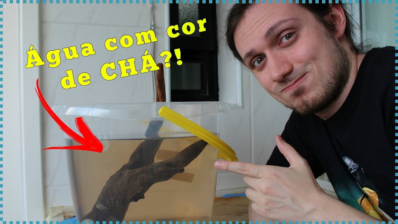 Como tratar TRONCO para AQUÁRIO!