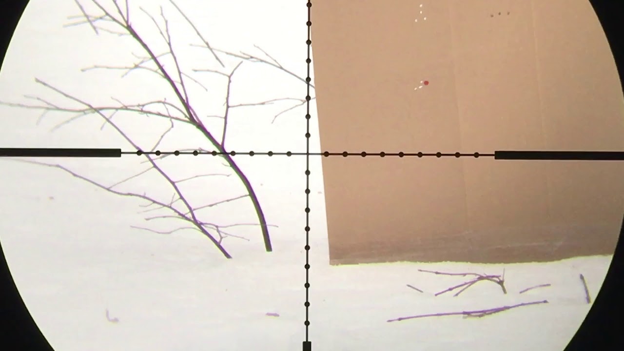 UTG Hunter IR 4-16x40 AO Second Look (Zero Check)