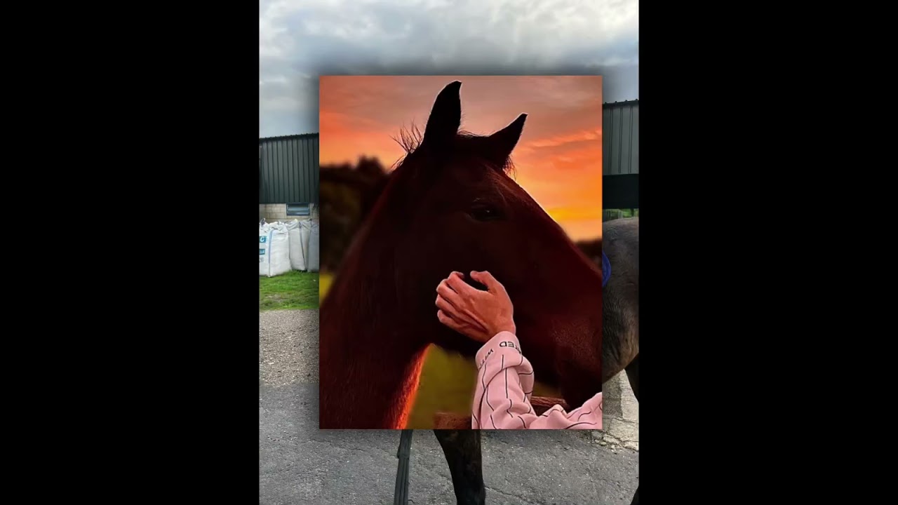 Oakfern Lucky Lad