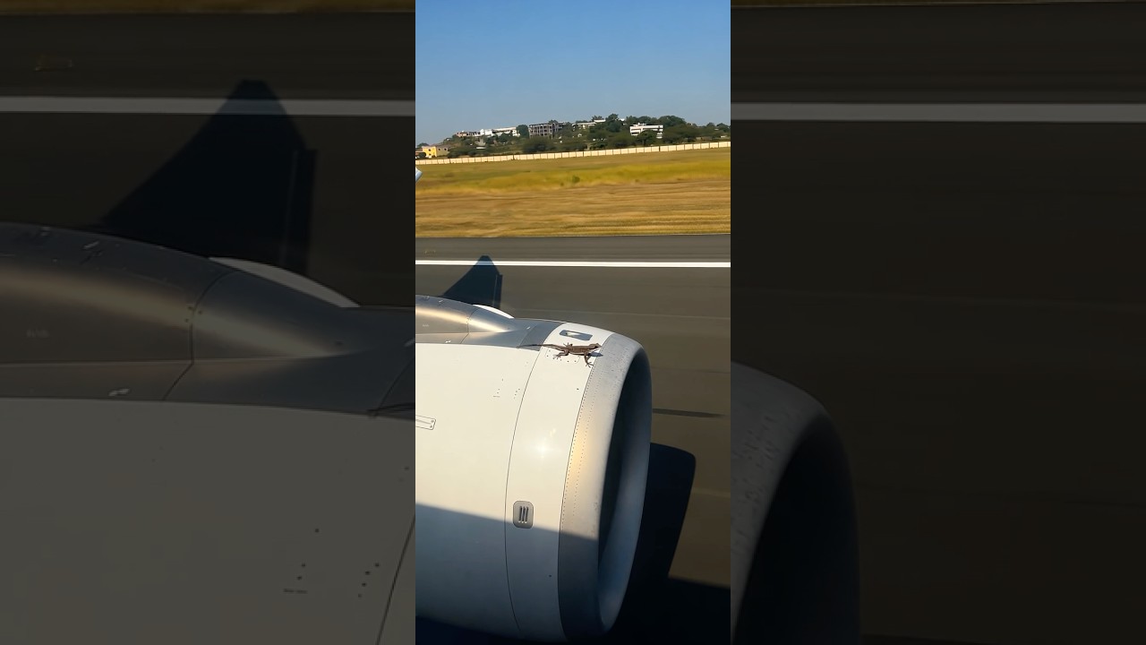 How is possible?  #viral #airplane #plane #eeuu #epic