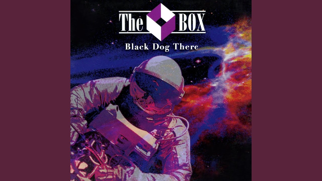 Black Dog There