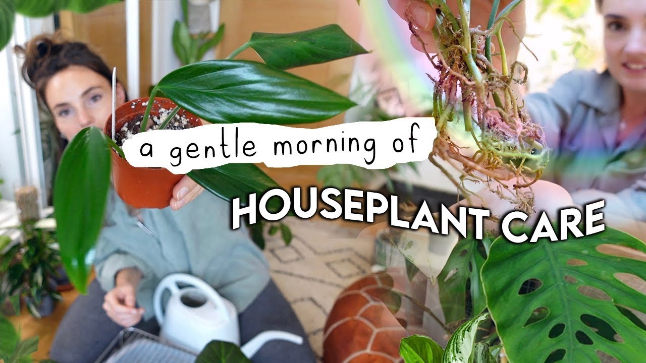 A Realistic, Chilled Morning of Plant Care 💚 Treating Pests, Repotting + Watering