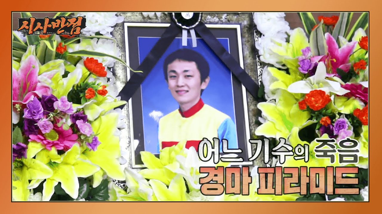 [시사반점] 어느 기수의 죽음, 경마피라미드
