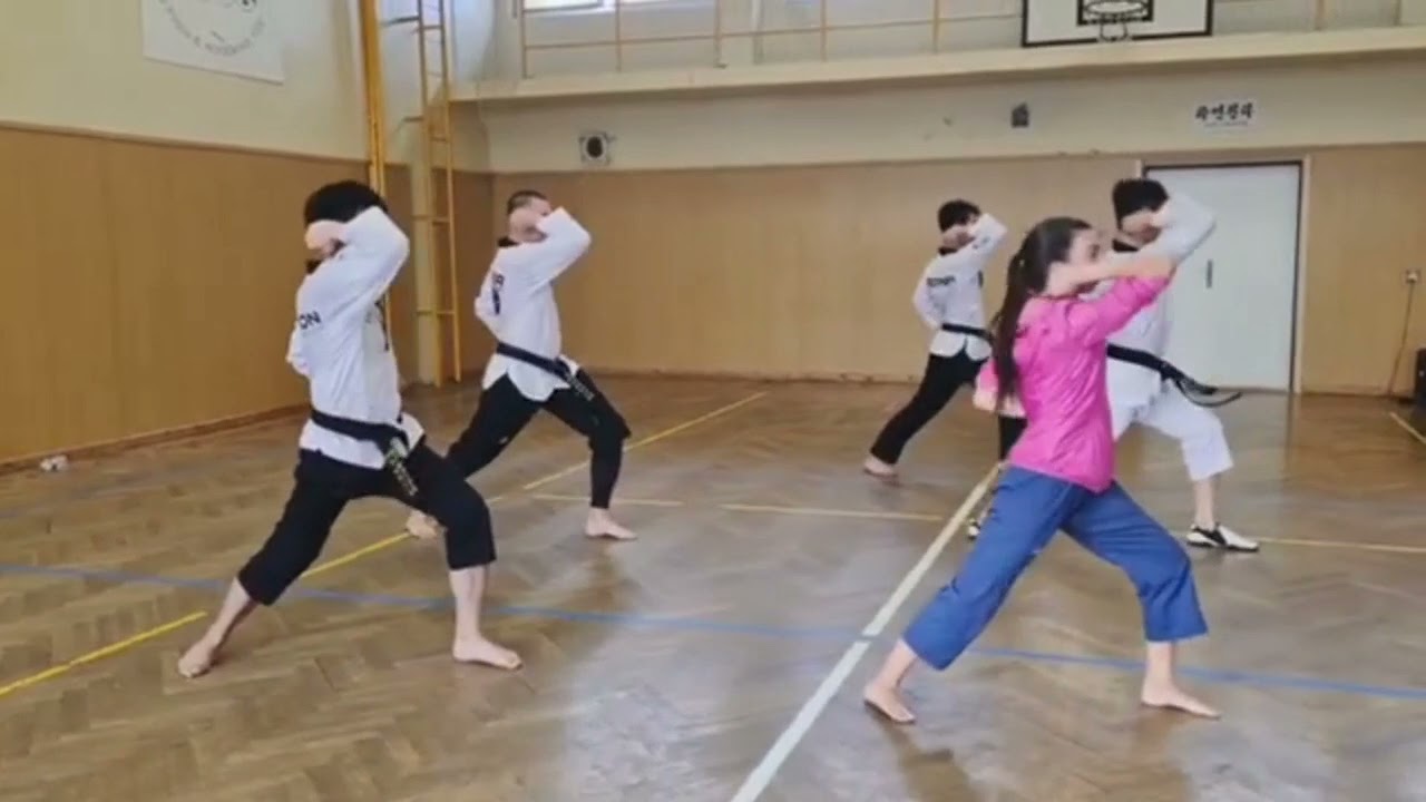 Practice Poomsae Compilation || Republik Czech || Taekwondo Fight Id