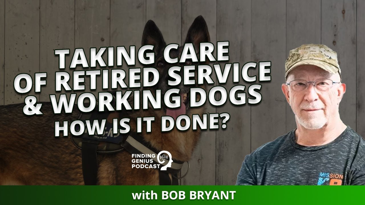 Taking Care Of Retired Service & Working Dogs | How Is It Done?