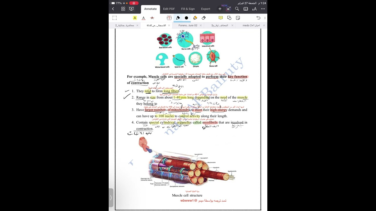 محاظرة 1 انسجه والياف جزء 3  ماده وزاريه مرحله ثالثه ادله جنائيه 
