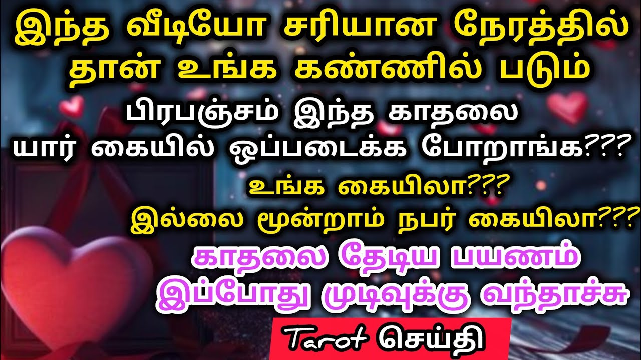 காதலை தேடிய பயணம் முடிவுக்கு வந்தாச்சு|Suji|Tarotreading|Powerofmindloa 