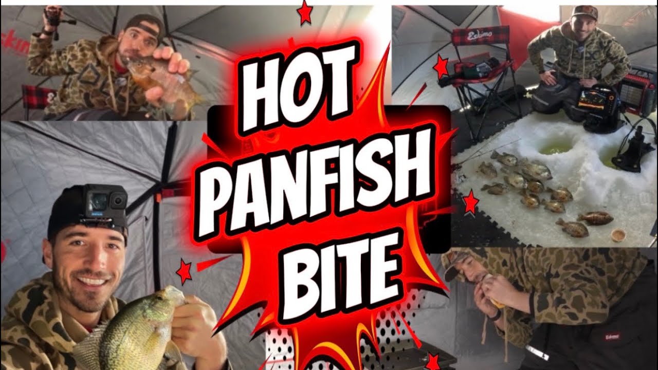 Crappies By Night, Bluegills By Day-Another Hot Panfish Bite At Camp 