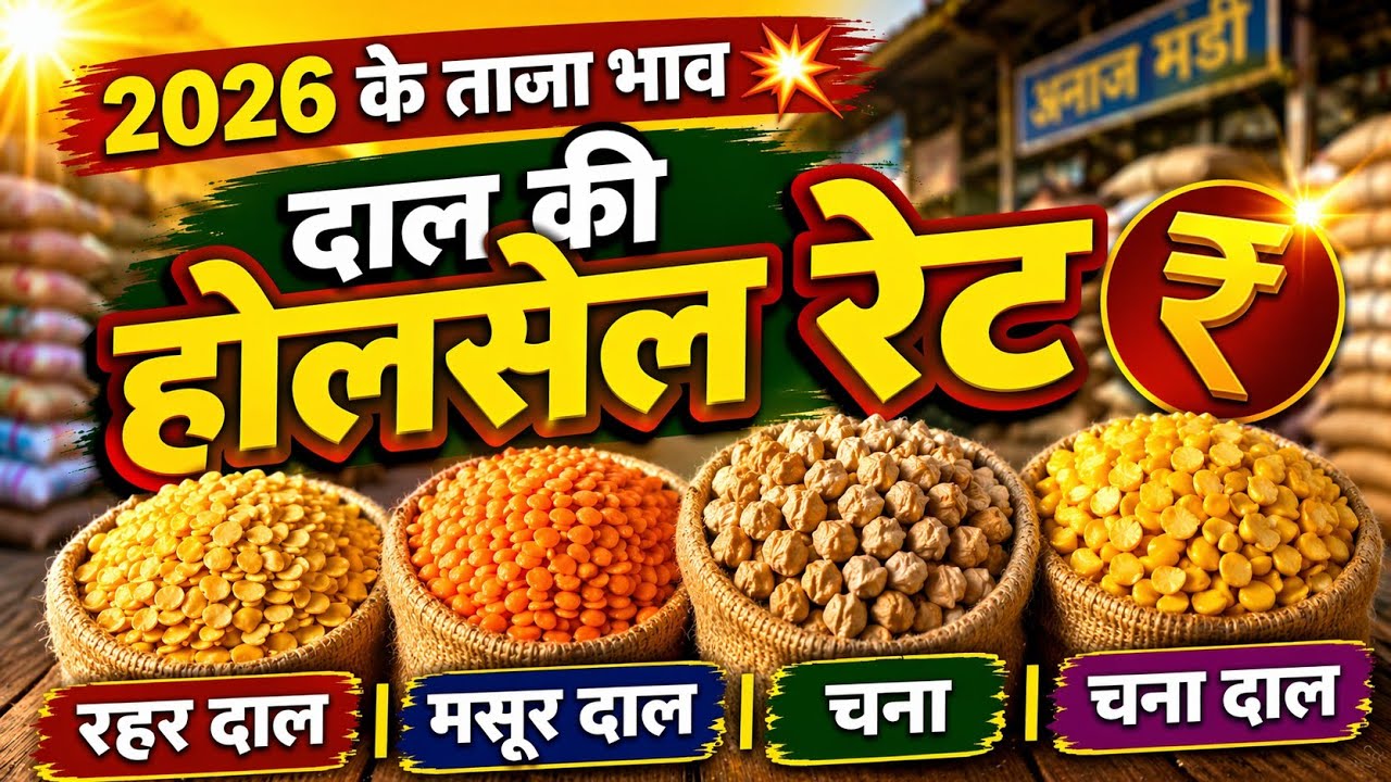 Rahar dal, masoor dal and chana dal wholesale rate || Rahar dal, masoor dal chana and chana dal w...