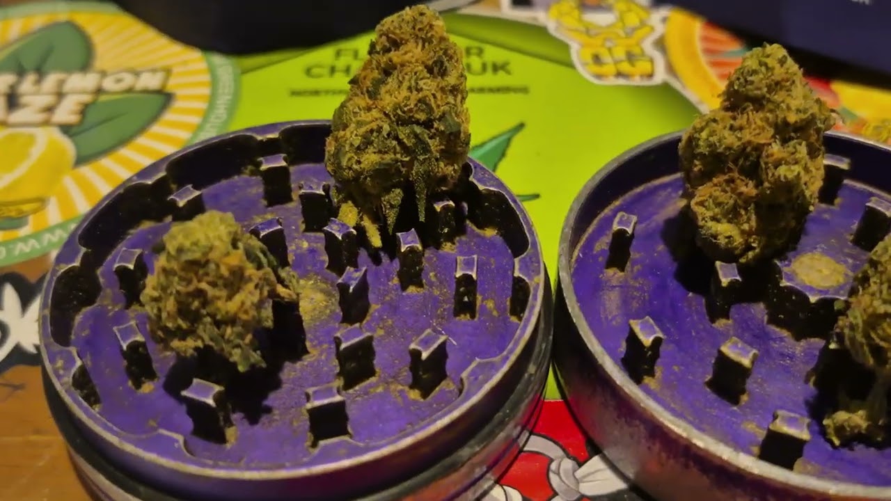 4C Labs Premium SGC T31 Super-G Citra &nbsp;31% THC&nbsp;&bull;&nbsp;1% CBD (18+)