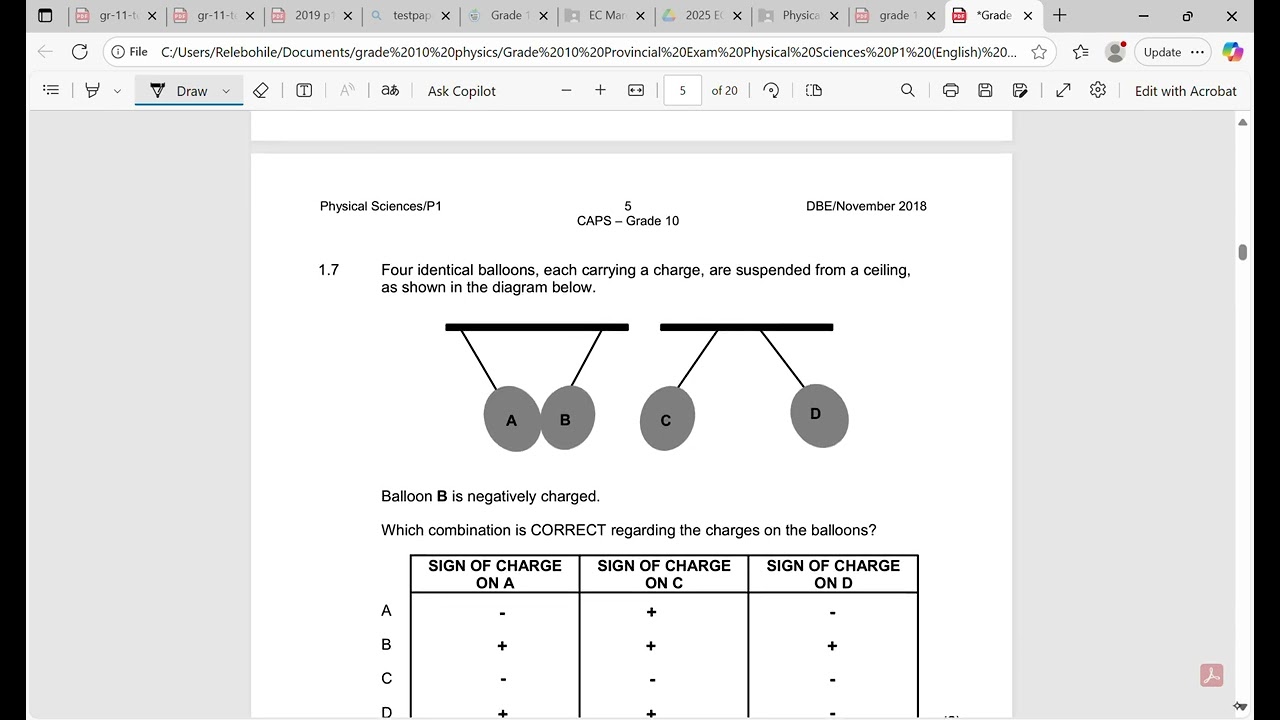 Grade 10 November 2018 paper 1 MCQ