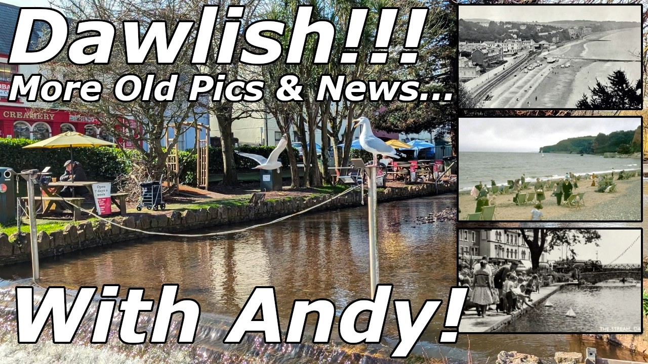 Monday in Dawlish: Nest Watch, Old Photos & Andy's Back! - 02/03/26