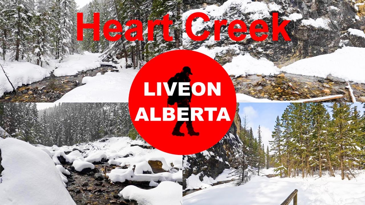 EPIC SPRING HIKE Through Heart Creek's Hidden Wonders #canadianrockies