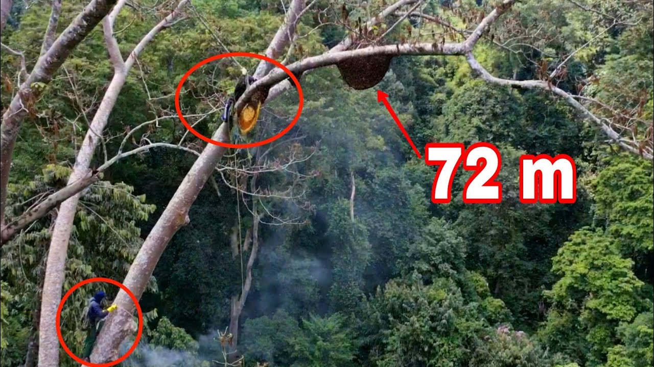 Kết Thúc Thử Thách 72h Trong Rừng