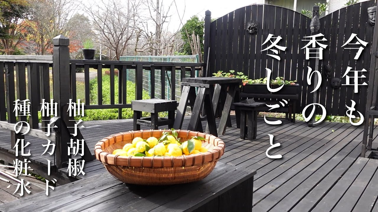 #49【50代 食Vlog】この冬も、柚子しごと｜捨てるとこ無し、全部使う｜実家の花柚子【季節しごと】