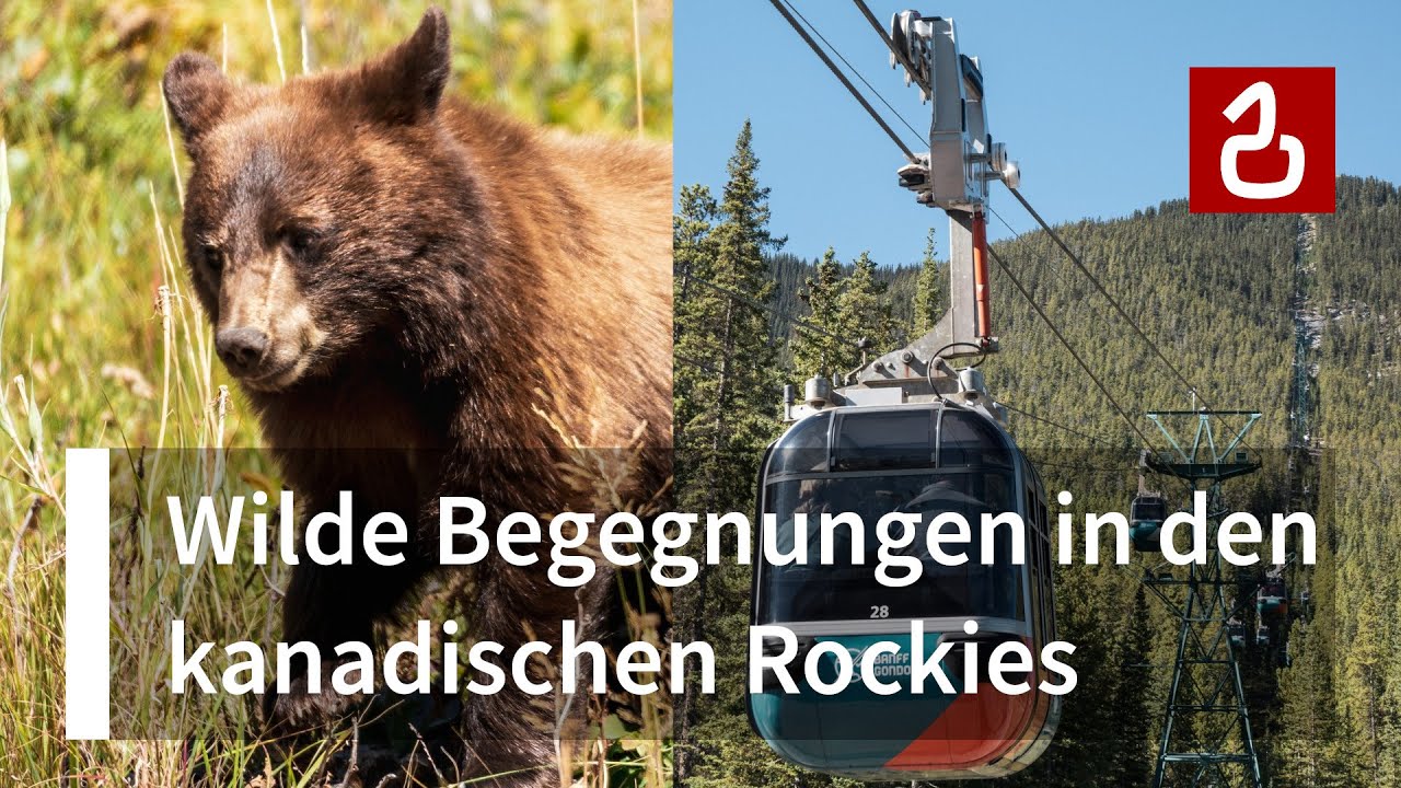 Am Drahtseil durch Nordamerika (3/6): B&auml;renstark | Nationalparks in Kanada: Banff, Lake Louise & Co.