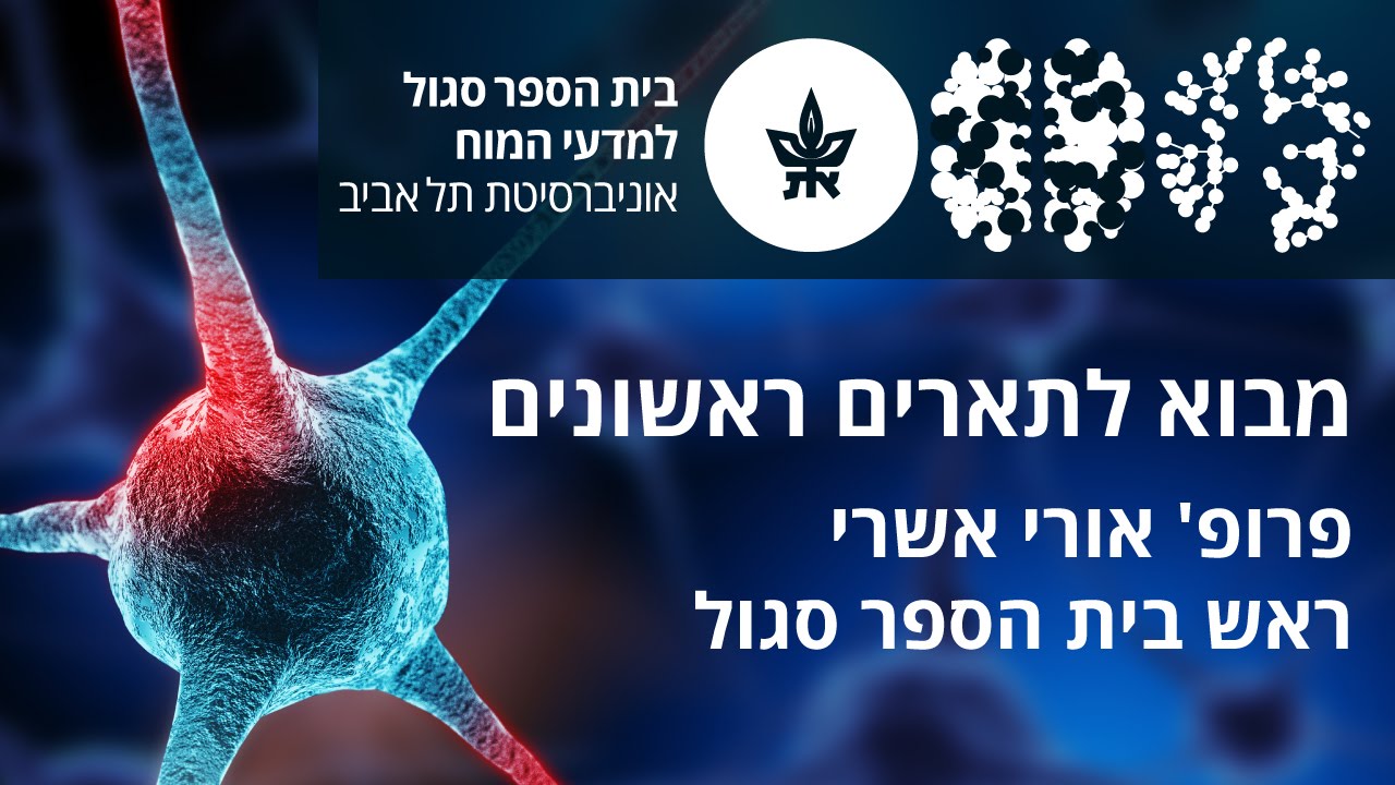 תואר ראשון בבית הספר סגול למדעי המוח אוניברסיטת תל אביב