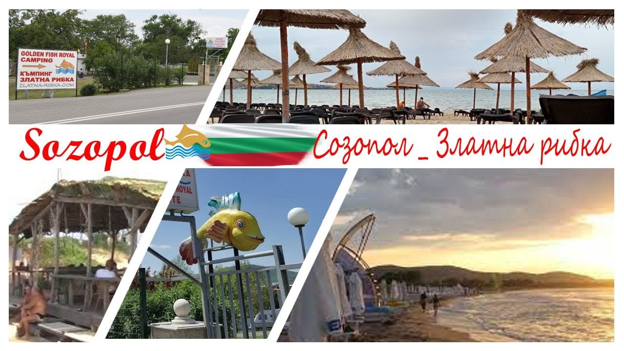 SOZOPOL Zlatna rybka            _                  СОЗОПОЛ Златна рибка
