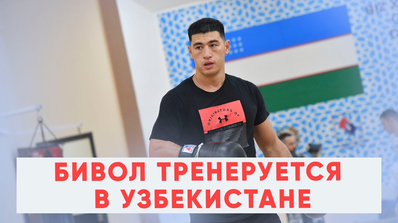 Бивол тренеруется в Узбекистане