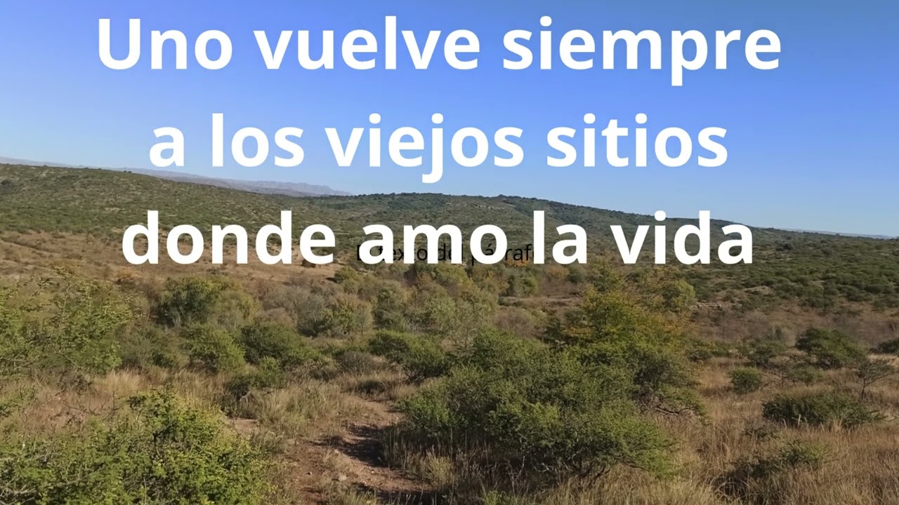 Canción de las simples cosas   Alex Freidig Karaoke